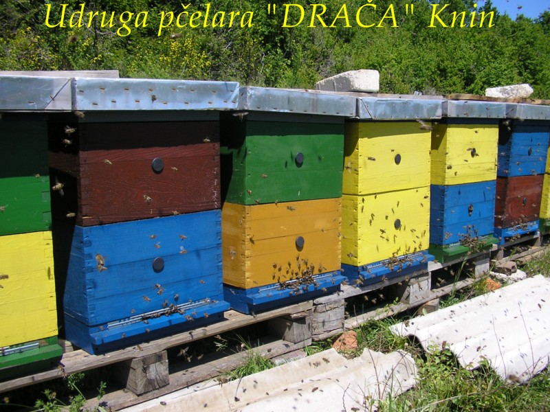 UP_Draca_Knin (9)
